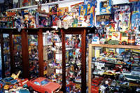 pippin's online store